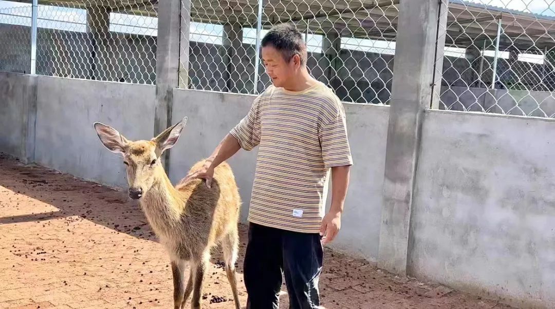 华宇娱乐